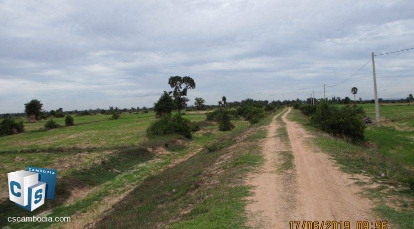 50,000 sq m Land - For Sale - Pouk, Siem Reap (2)
