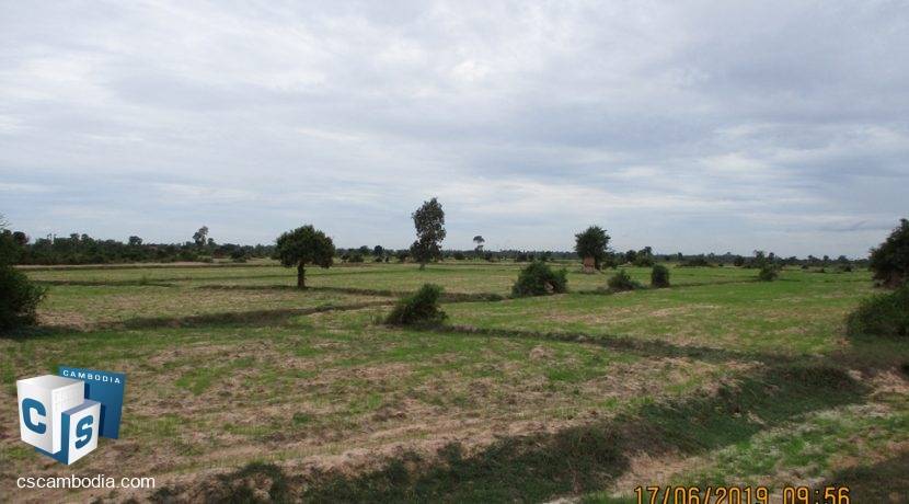 50,000 sq m Land - For Sale - Pouk, Siem Reap (3)