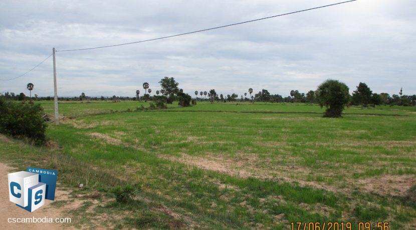 50,000 sq m Land - For Sale - Pouk, Siem Reap (4)