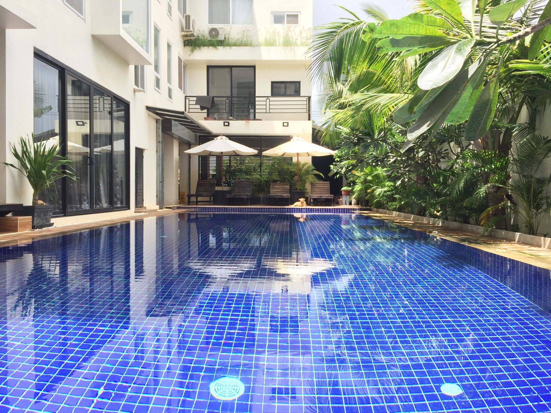 Luxury Studio Apartment With Pool – EXCELLENT VALUE!! – For Rent – Kruos Village – Siem Reap