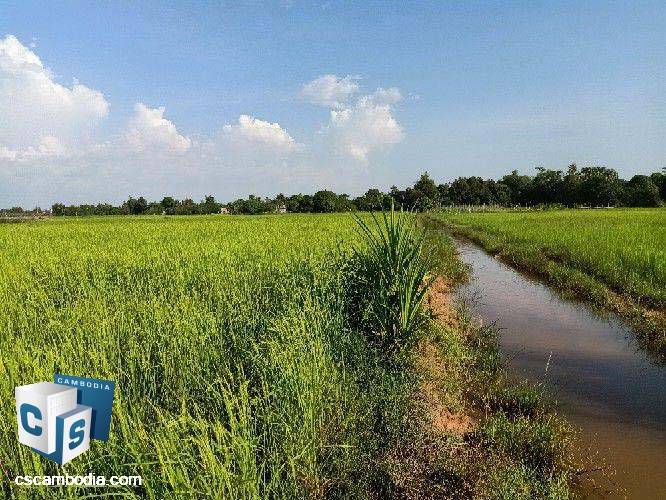 2,000 Sq Meters Of Land – For Sale – Prasat Bakong Commune– Siem Reap