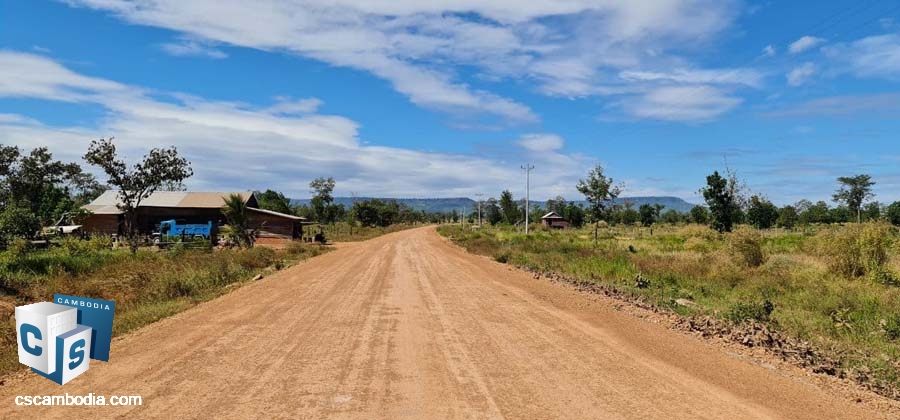 Land for Sale in Svay Leu, Siem Reap