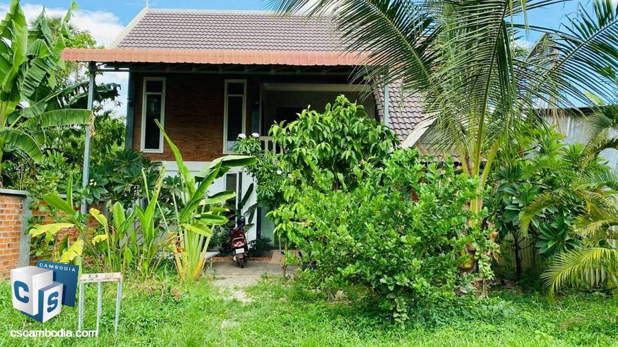 House For Rent In Sala Kamreuk-Siem Reap