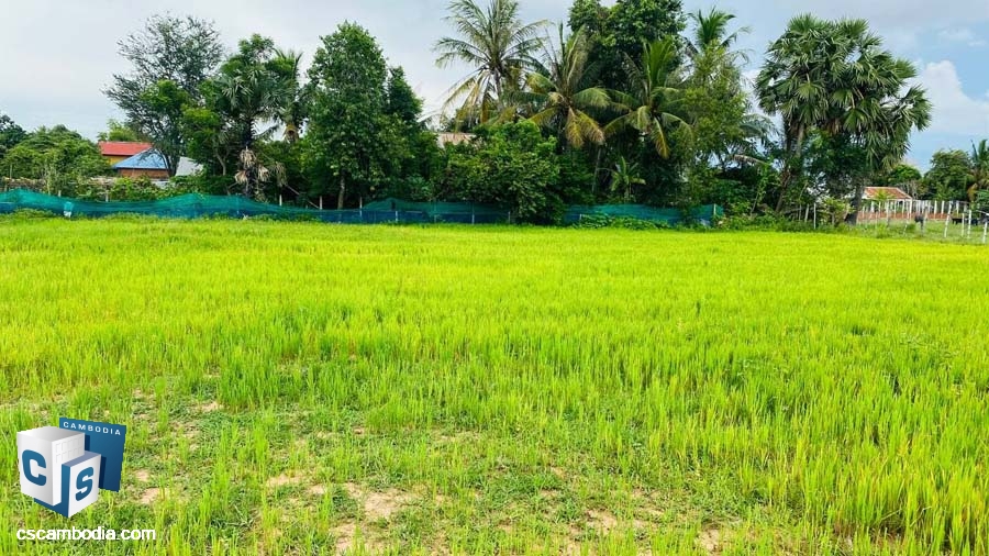 Land for Sale in Sambor, Siem Reap