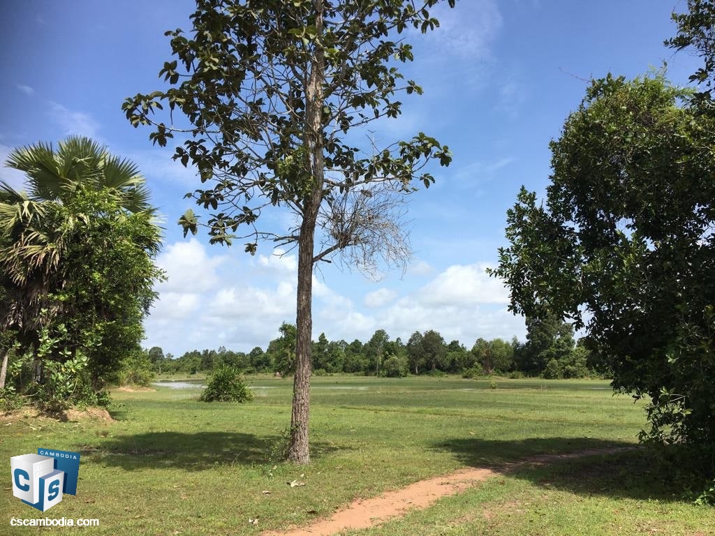 URGENT SALE – Land for Sale in Angkor Thom, Siem Reap