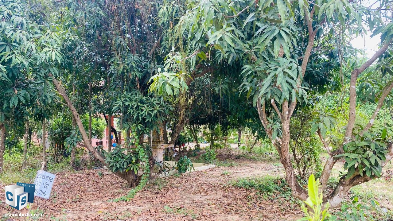 Land for Rent in Sambor, Siem Reap.