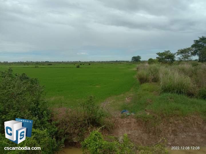 Land for Sale in Sandan District, Kampong Thom Province.