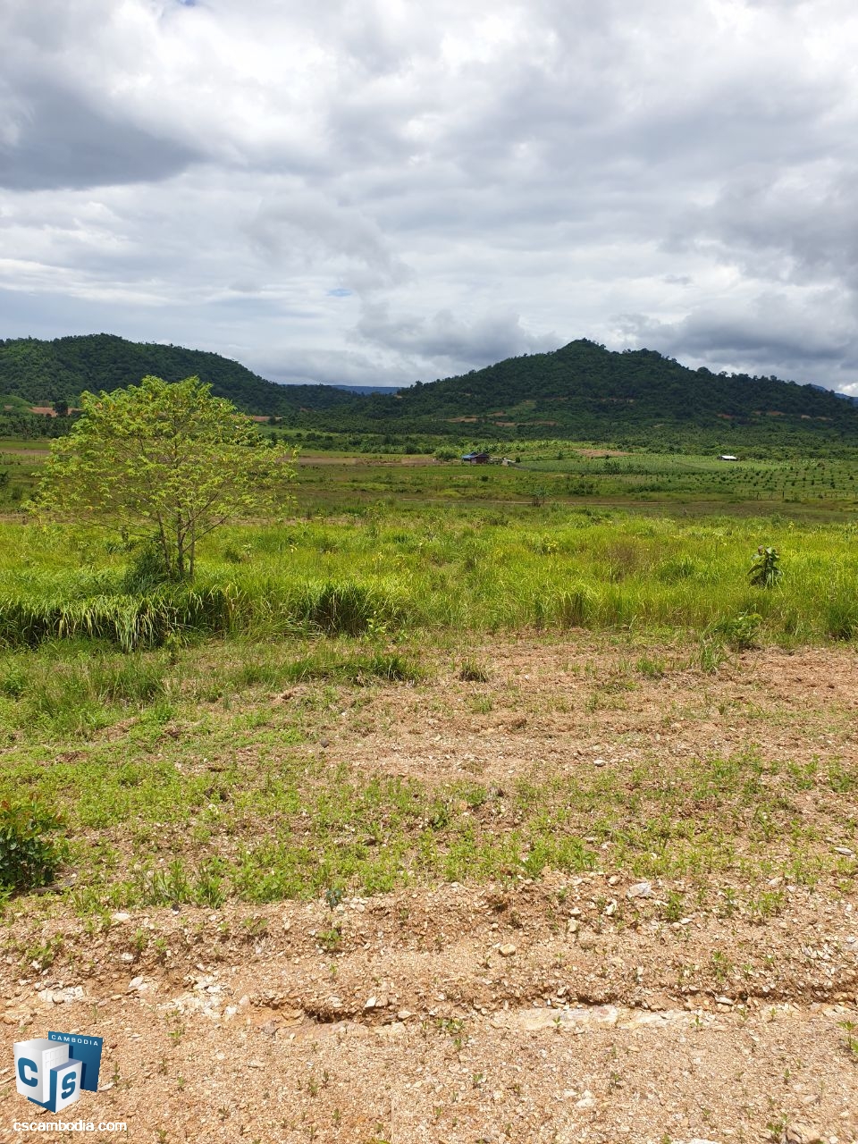 Land for Sale in Stung Keo Commune, Kampot Province.
